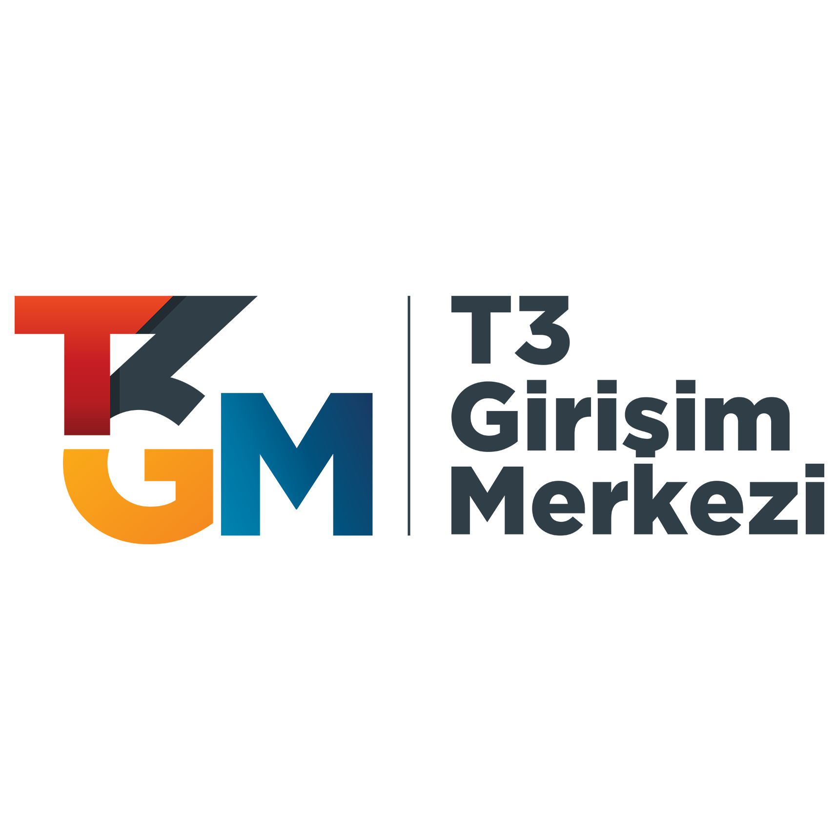 T3 GM