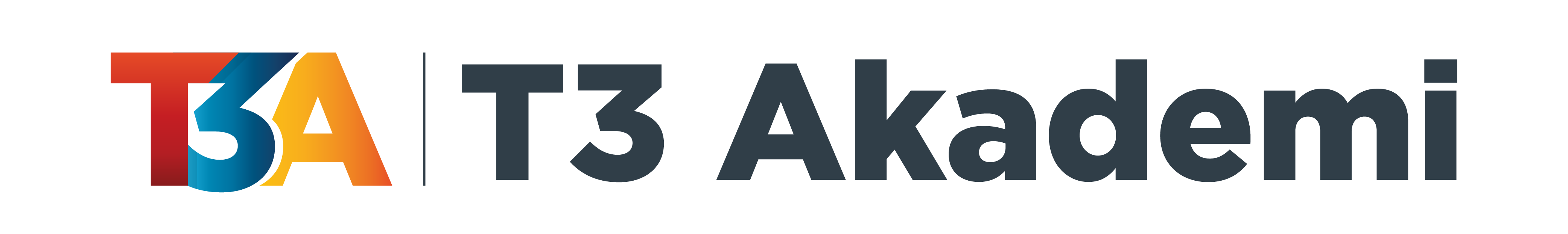 t3 akademi